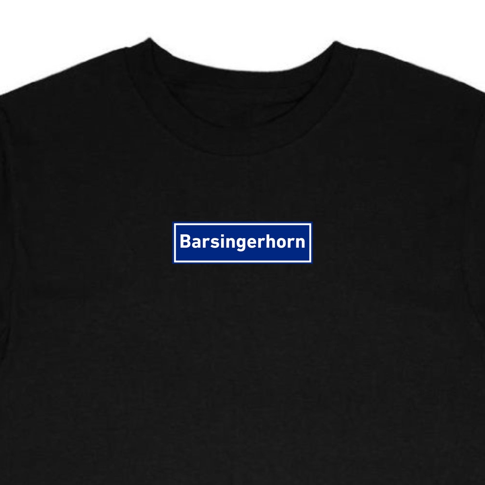 T-Shirt Barsingerhorn - Afbeelding 4